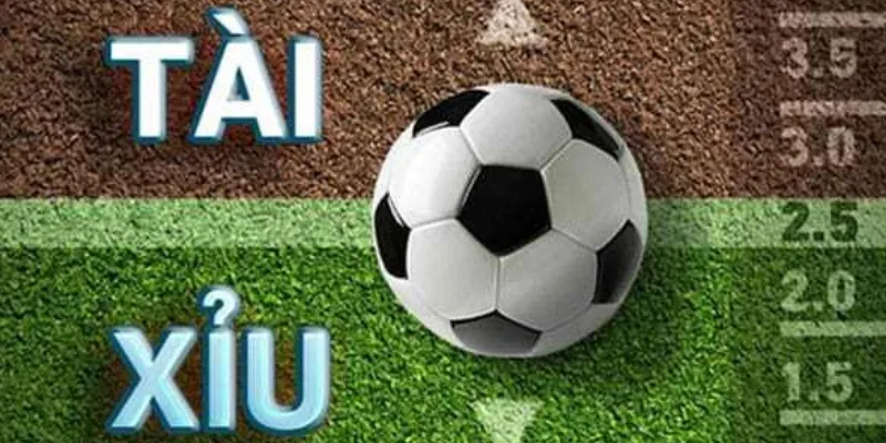 Các chiến thuật đặt cược kèo tài xỉu thành công